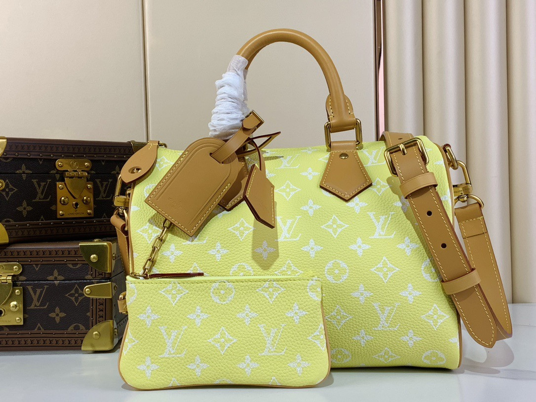 LV SPEEDY BANDOULIÈRE25 M13902