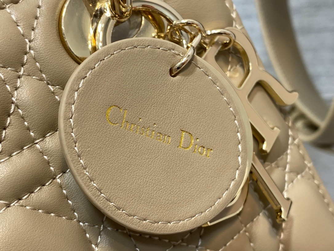 medium lady D*or bag 24 x 20 x 12 cm