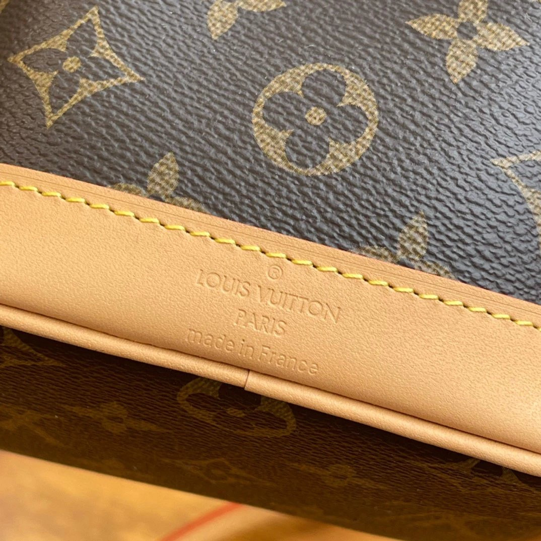 LV NANO NOE M81266