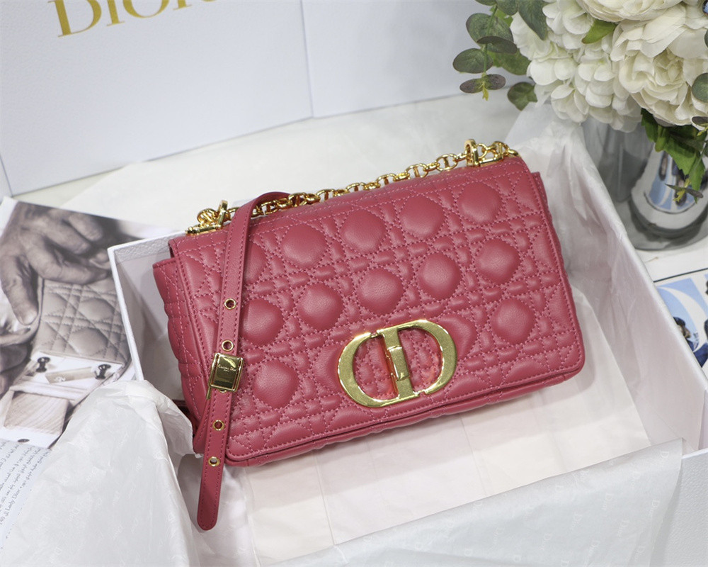 medium d*or caro bag S*pple cannage calfskin 25.5 x 15.5 x 8 cm