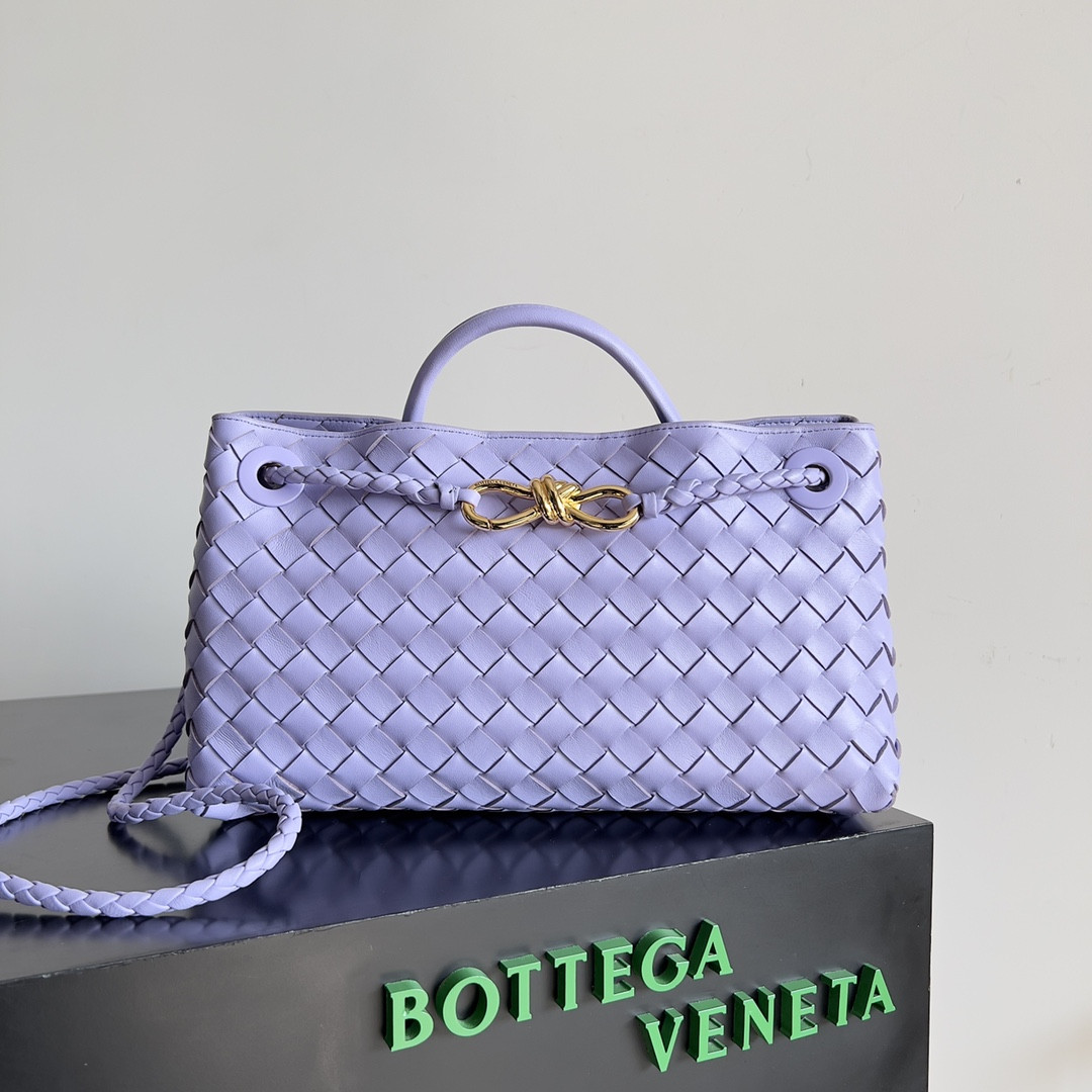 bo*te*ga Ve*ne*ta east-west andiamo 29x10x18cm