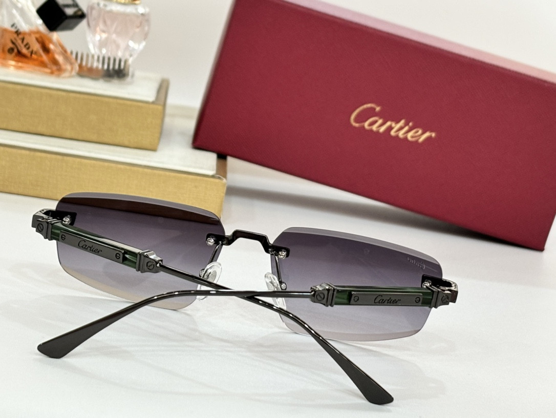 Ca*t*er glasses ct0630
