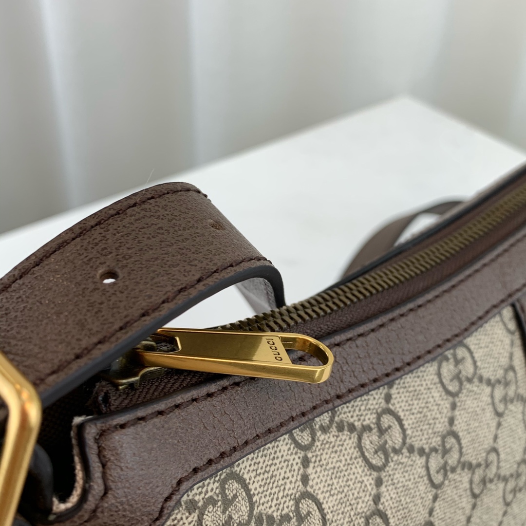 G*u*i ophidia gg bag-30*22*5.5cm