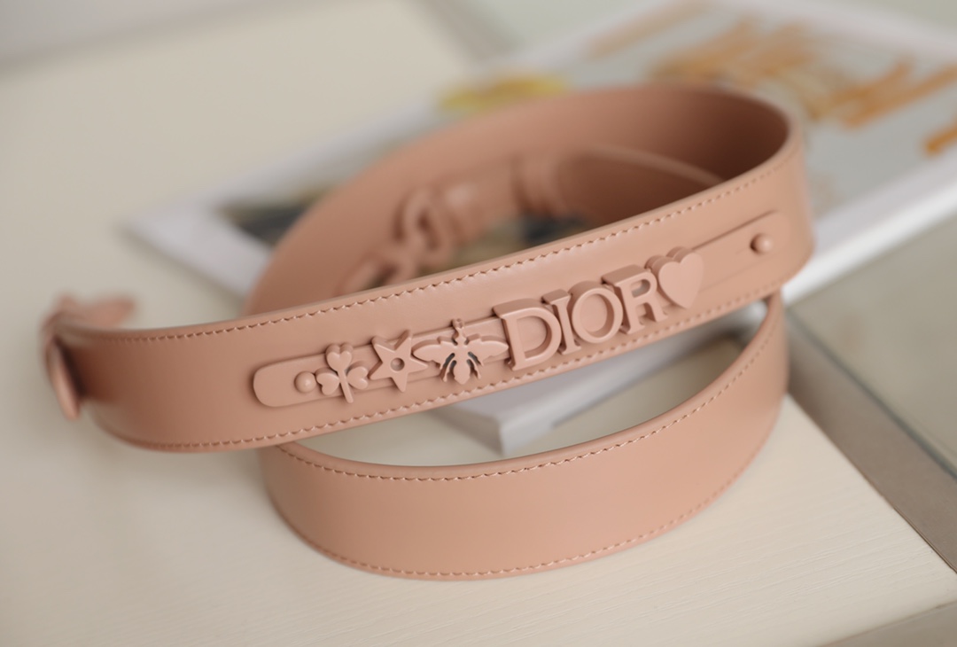 D*or lady bag-20*16.5*8cm