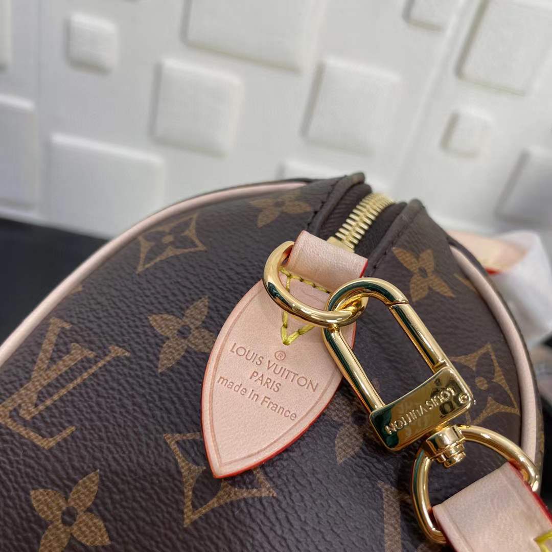 l0*is V*t0n speedy-m41114-red inside-20x 13.5x 11.5cm