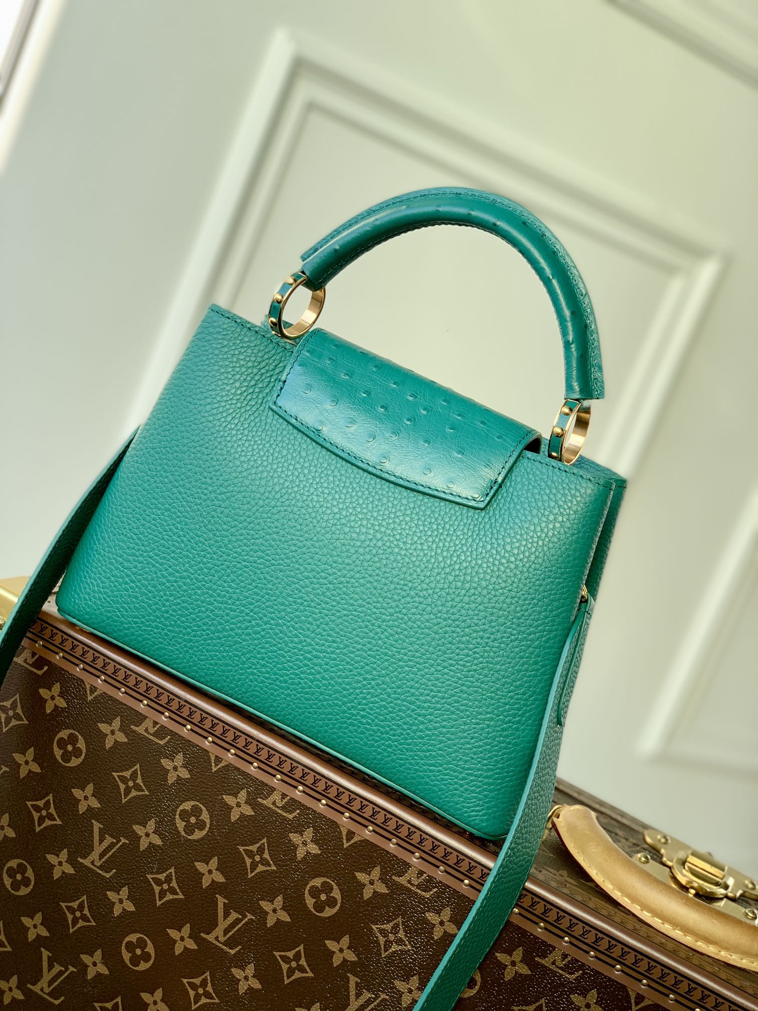 l0*is V*t0n capucines bb-m21164-27*18*9cm