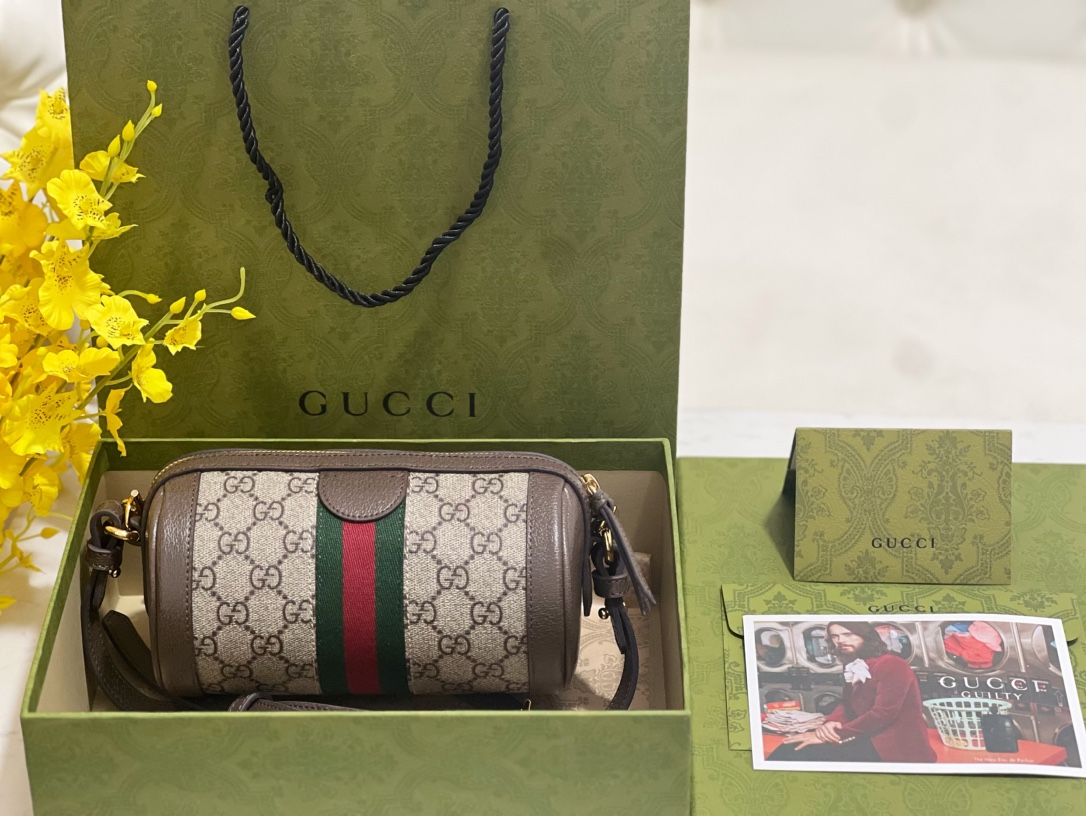 G*u*i ophidia mini shoulder bag-18.5*10*10cm