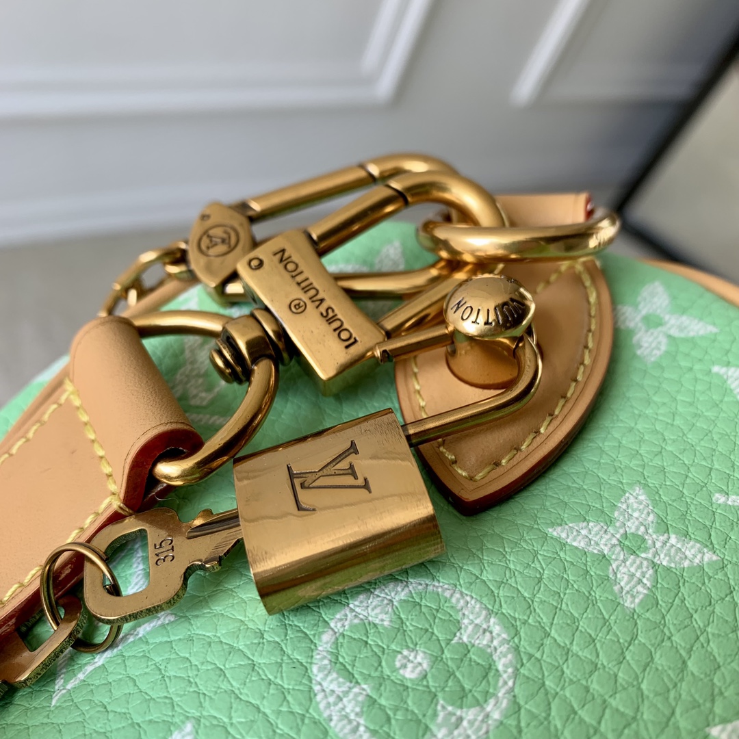 l0*is V*t0n speedy bandoulière 25-25x 19 x 15cm