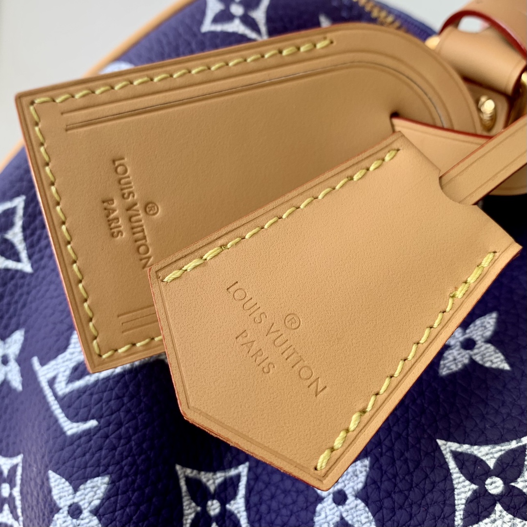 l0*is V*t0n speedy bandoulière 25-25x 19 x 15cm