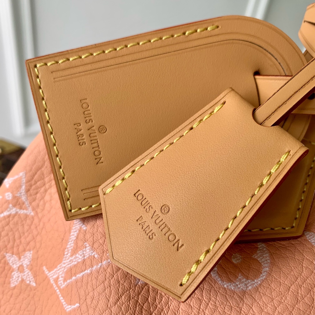 l0*is V*t0n speedy bandoulière 25-25x 19 x 15cm