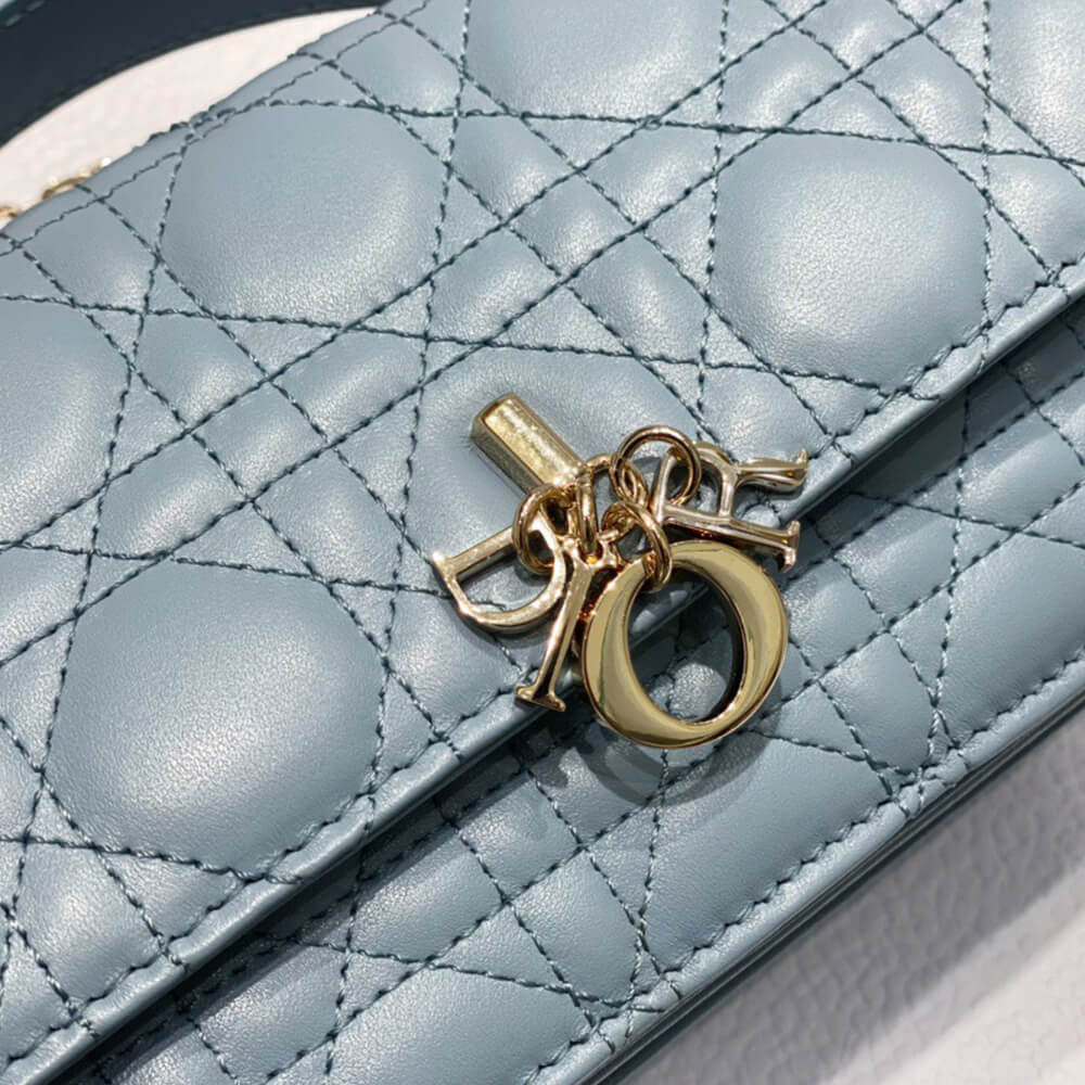 miss D*or mini bag