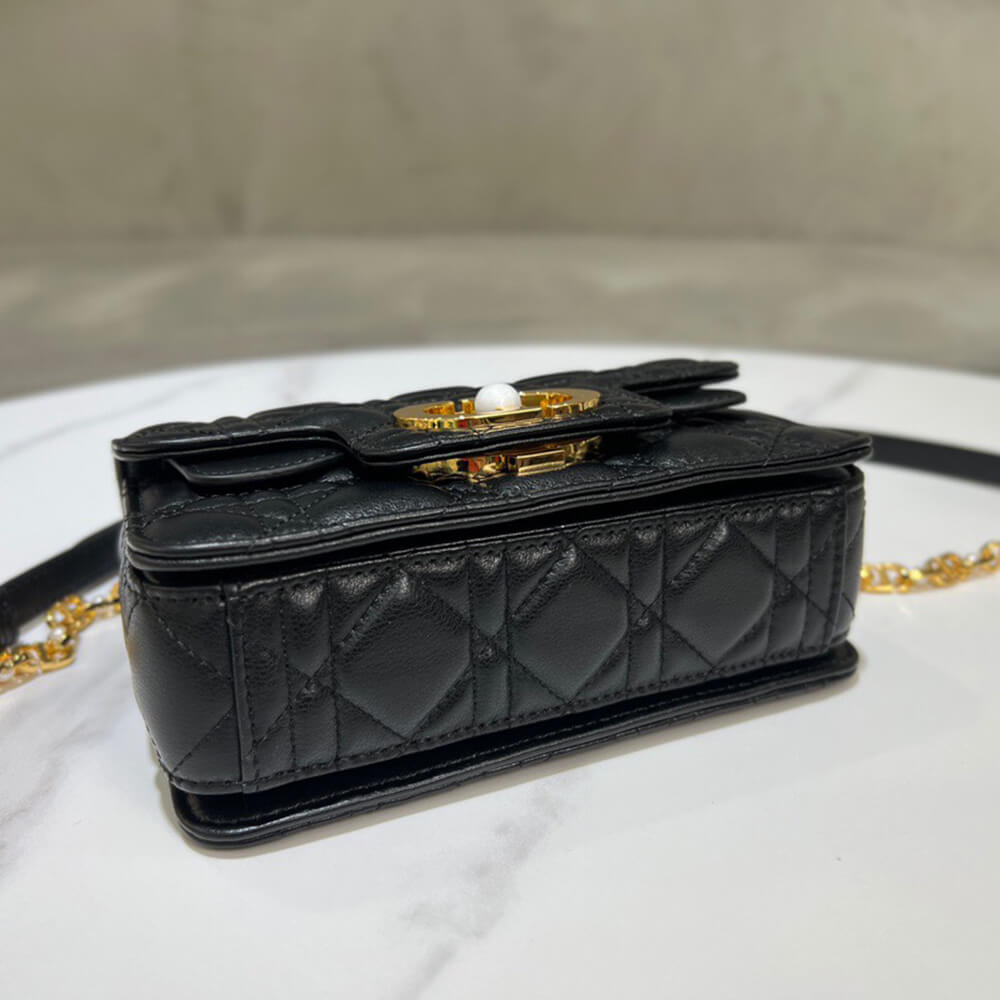 D*or mini D*or jolie top handle bag