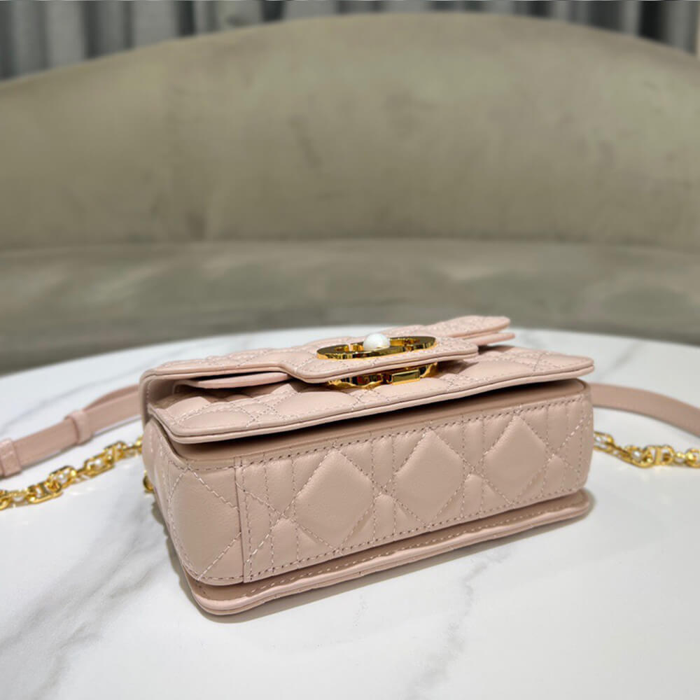 D*or mini D*or jolie top handle bag